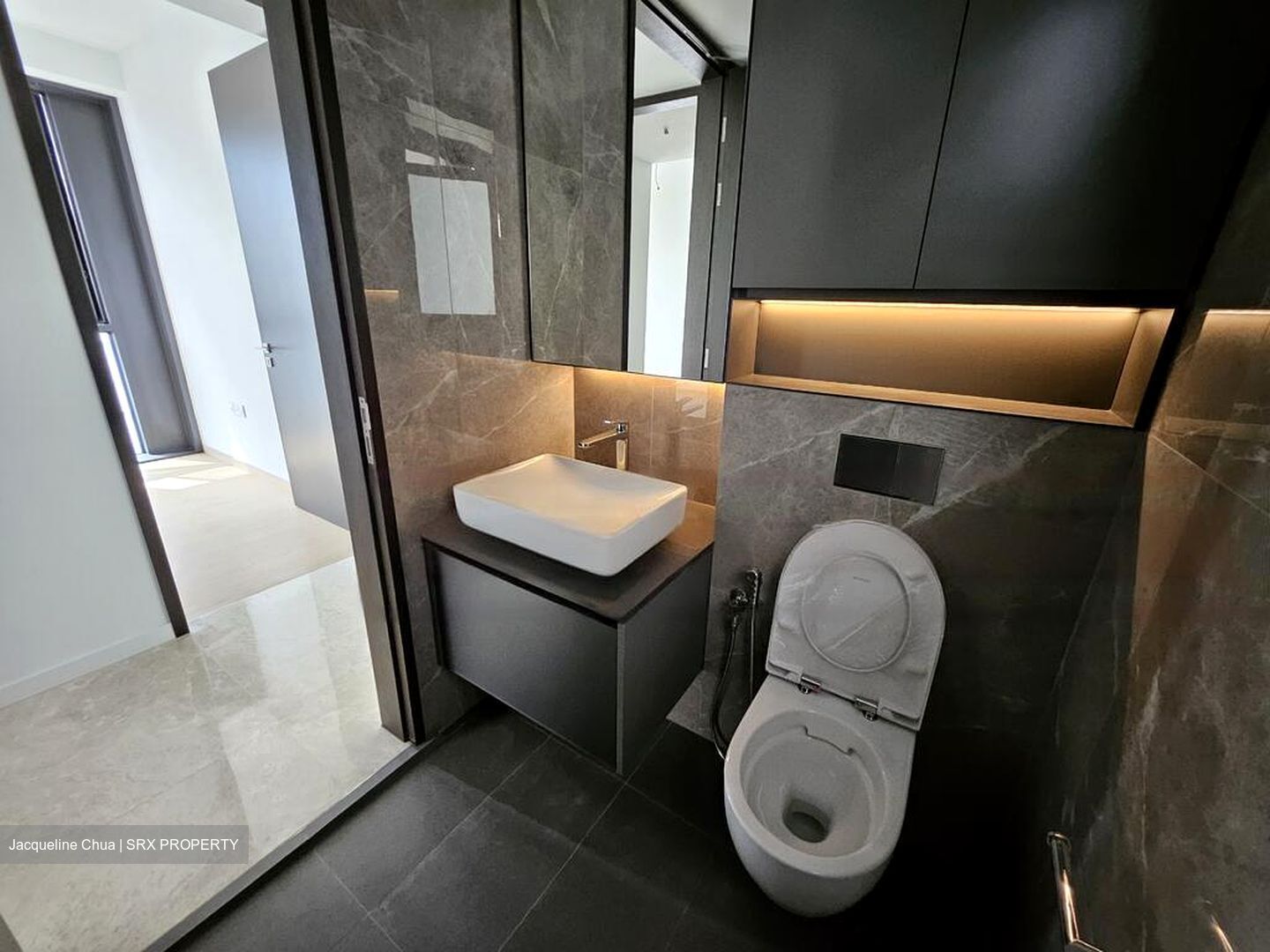Irwell Hill Residences (D9), Apartment #443482921